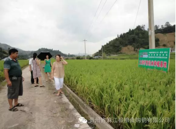 為您帶來健康的綠色有機(jī)食品